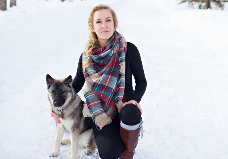 do norwegian elkhound like to cuddle